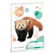 Kép 1/3 - Füzet ARS UNA A/5 32 lapos kockás 27-32 Cuki Vörös Panda